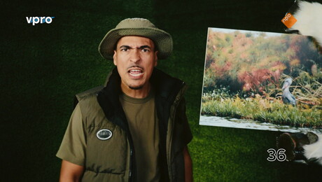 Wilde Buren | Zeehondjes